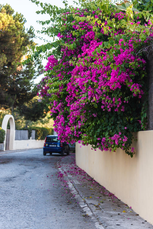 Sechi Aparthotel Marbella - Self Service, With Parking Estepona Exterior photo